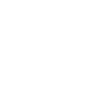 icon-4